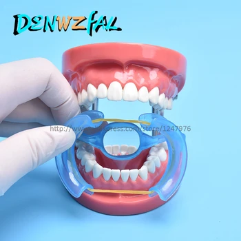 noul Tip M Gura Deschizator de Noi Dentare Ortodontice Plastic Obraz, Buze Retractor Clar de Culoare Medicale sau de Origine, Utilizarea în condiții de Siguranță
