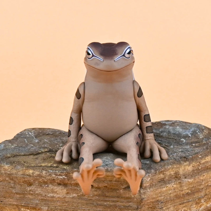 Japonia Kitan Gashapon Jucării Capsulă Broasca Masă Ornamente Decor Simulare Broasca Animal Stând Broasca Model Imagine 5